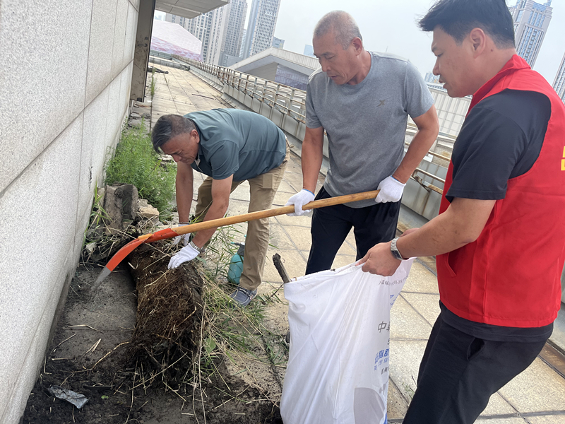 煙臺(tái)分公司黨支部開(kāi)展“清除樓頂雜草、消除安全隱患”主題活動(dòng)